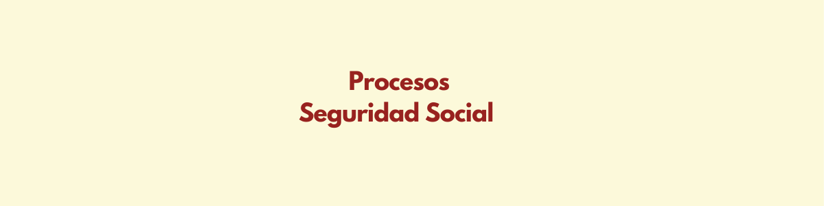 Procesos Seguridad Social