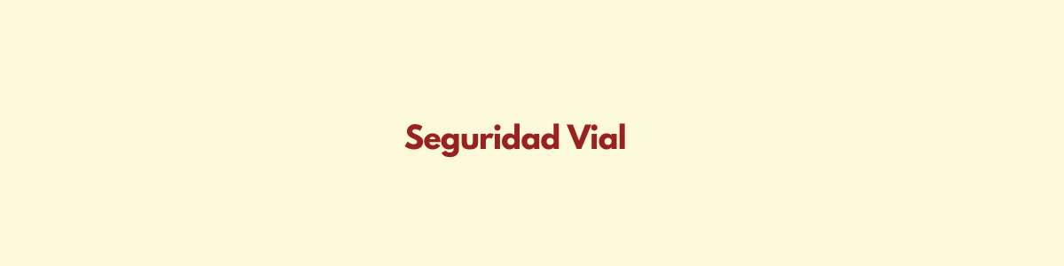 Seguridad Vial 